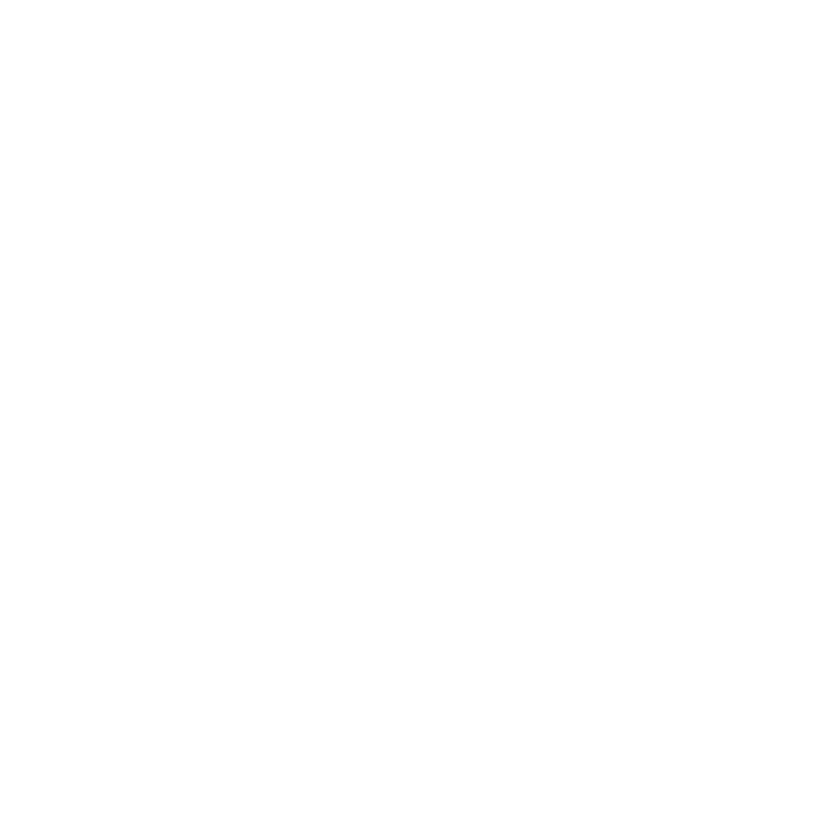 Ford Hangar Logo White